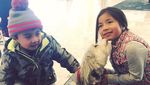Foto: Anjing Penyambut Tamu Hotel yang Imut Banget