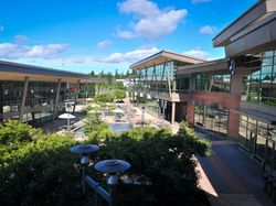 Menjelajah Markas Besar Microsoft yang Bikin Nyasar