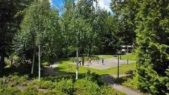 Bagian luar yang luas dengan pohon-pohon tinggi. Untuk bagian outdoor Microsoft menyediakan fasilitas olahraga seperti basket hingga sepak bola. (Foto: Filmateria Digital LLC)