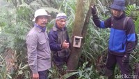 Ini kamera perangkap di hutan Jabung yang merekam aktivitas satwa liar. (Foto: Dok Taman Nasional Bromo Tengger Semeru)