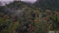 Kawasan Watu Pecah yang tak jauh dari hutan Jabung (Foto: Dok Taman Nasional Bromo Tengger Semeru)