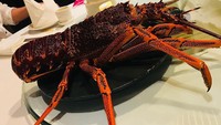 Hanya menulis, Huaaaaaaaa, sepertinya Ayu sudah nggak sabar mencicip lobster. Ukurannya yang lumayan besar menggoda untuk disantap. Foto: Instagram ayutingting92