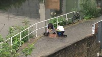 Kalau Anda sendiri melihat ada gundukkan uang di pinggir jalan seperti ini mau diapakan? Foto: boredpanda