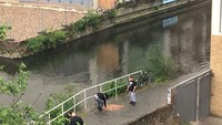 Ada beberapa orang yang lewat dan mengambil uang recehan itu sambil mengambil foto. Foto: boredpanda