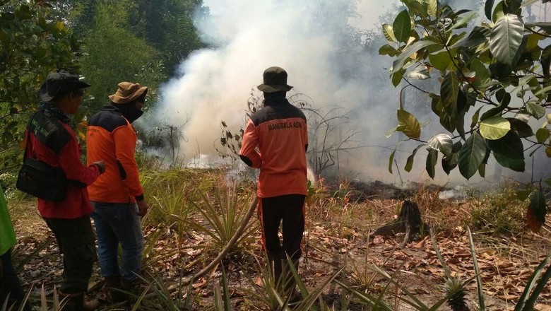 Sumsel, Riau, Kalbar, dan Kalteng Siaga Darurat Karhutla Sumsel, Riau, Kalbar, dan Kalteng Siaga Darurat Karhutla