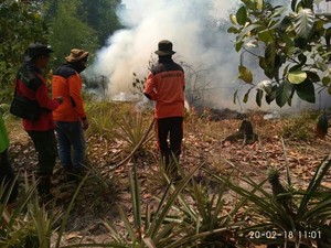 Sumsel, Riau, Kalbar, dan Kalteng Siaga Darurat Karhutla