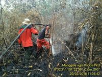 Kebakaran hutan dan lahan
