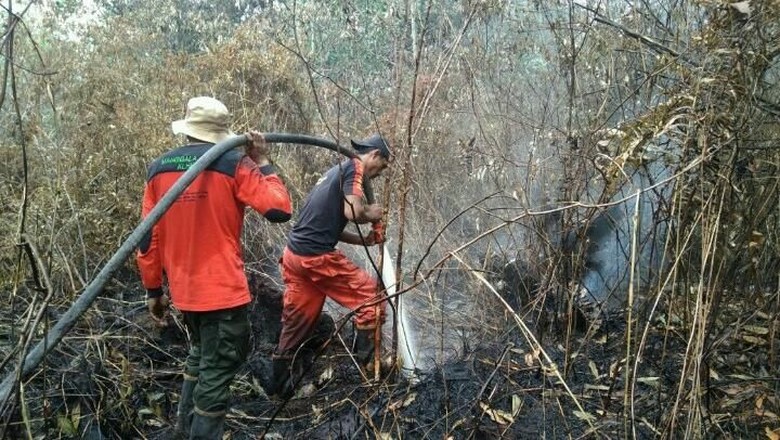 Lahan Terbakar di Riau Meningkat Jadi 749 Hektare Lahan Terbakar di Riau Meningkat Jadi 749 Hektare