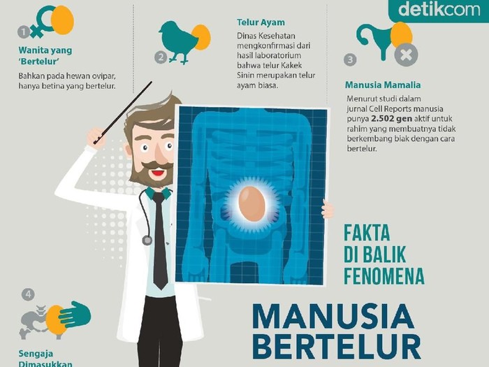 Foto: Infografis Foto: Infografis