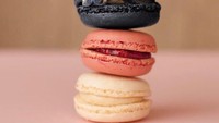 French Bulldog ini duduk nyaman di antara tumpukan macaron yang berwarna-warni. Foto: Instagram/ @dogs_infood