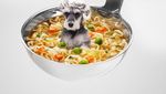 Ah Lucunya! Anak Anjing Imut Menyatu dalam Aneka Makanan!