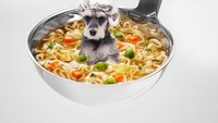 Hingga saat ini, akun Instagram @dogs_infood telah diikuti lebih dari 35.000 followers dan mengumpulkan lebih dari 5 ribu - 10rb likes disetiap postingannya. Foto: Instagram/ @dogs_infood