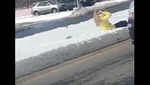 Foto: Viral Insiden Pria Dorong Wanita ke Salju di New Hampshire