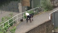 Sayangnya eksperimen ini harus selesai setelah dua orang ini datang. Mereka langsung mengambil seluruh uang yang ada di pinggir jalan itu.Foto: boredpanda