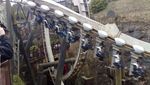 Foto: Dahsyat! Roller Coaster Pakai Efek Terbakar