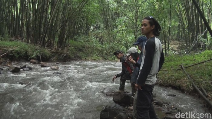 Yuk Menjajal Berpetualang Ke Wisata Petung Sewu