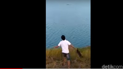 Detik-detik Anjing Dilemparkan untuk Jadi Santapan Buaya yang Viral
