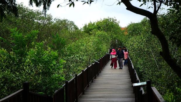 Risma Siapkan Rp 17 M untuk Bebaskan Lahan Kebun Raya Mangrove