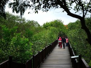 Dipenuhi Sampah, Mangrove Wonorejo Terancam Jadi TPA