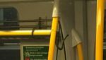 Foto: Snake on a Train! Penampakan Ular di Kereta dari Belahan Dunia