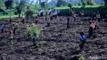 Revitalisasi Sungai Citarum, Jokowi Tanam Pohon