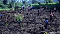 Sebelum membenahi wilayah tengah dan hilir, ia akan fokus dulu merevitalisasi kondisi hulu. Saat ini hulu sungai sudah gundul akibat alih fungsi lahan. Hutan lindung ditanami oleh sayuran.