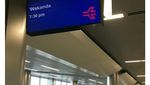 Wakanda Forever! Reaksi Kocak Soal Jadwal ke Wakanda di Bandara Atlanta