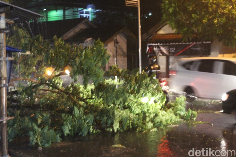 Hujan Angin di Garut, Pohon Tumbang Timpa Kabel Listrik dan Jalan Hujan Angin di Garut, Pohon Tumbang Timpa Kabel Listrik dan Jalan