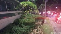 Tampak bus tersebut menerobos tumbuhan yang ada di taman.