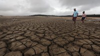 Kota berpenduduk empat juta jiwa itu telah melarang warganya mencuci mobil mereka, atau mengisi kolam renang. REUTERS/Mike Hutchings.