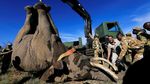 Kala Gajah Diangkut dengan Crane dan Dikawal Ranger Bersenjata