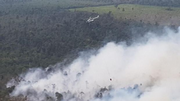 Asap Membubung, Ini Penampakan Hutan Terbakar di Riau