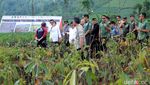 Revitalisasi Sungai Citarum, Jokowi Tanam Pohon