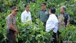 Revitalisasi Sungai Citarum, Jokowi Tanam Pohon