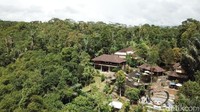  Tak hanya itu, jika mau tahu bahwa kopi terbaik ke-3 Indonesia yaitu kopi Kintamani ada di sini. Dan, ternyata tanaman ini punya jenis kelamin lho (Muhammad Zaky Fauzi Azhar/detikTravel)