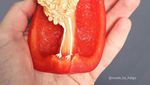 Wanita Ini Ubah Makanan Jadi Karya Seni, Hasilnya Bikin Takjub