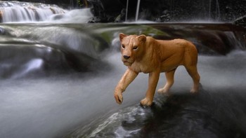 Karena itu Helmy sengaja keliling Indonesia untuk memotret mainan-mainan hewannya mulai dari Pulau komodo, Pulau Bali, Sumatra, Jawa hingga negara Jepang yang dijadikan sebagai latar belakan obyek foto. (Foto: Fauzie Helmy)