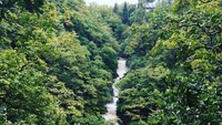 Tak jauh dari jembatan berselimut mitos itu, ada air terjun yang juga jadi objek wisata tujuan turis (devilsbridgewaterfalls/Instagram)