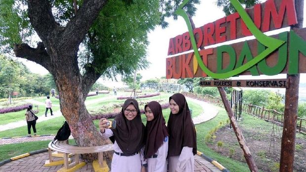 Taman Daun di Tuban/