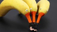 Berimajinasi tingkat tinggi. Tiga buah pisang yang gandeng dilukis mirip seperti bebek yang sedang berebut makan cacing. Foto: Istimewa