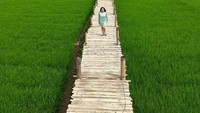 Dihimpun dari berbagai sumber, destinasi jembatan bambu di Persawahan Sukorame Bantul ini ternyata belum sepenuhnya selesai. Traveler mulai memadatinya pada awal tahun 2018 (itaratna28/Instagram)