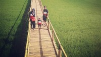 Bagi yang sudah berkeluarga, destinasi jembatan bambu di Persawahan Sukorame Bantul ini cukup ramah anak. Selain itu traveler dapat mengenalkan tanaman pangan kepada anak (ade_ika_anggraini/Instagram)
