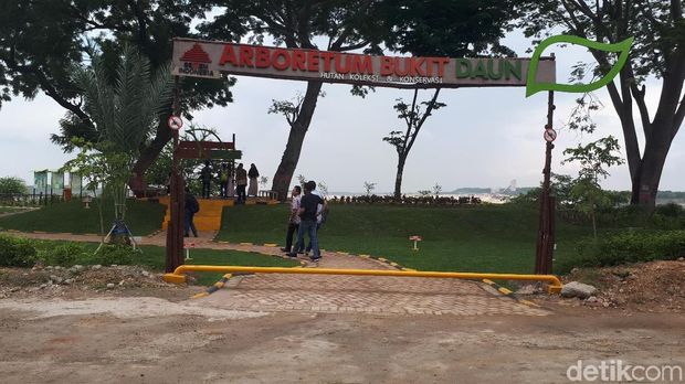 Taman Daun di Tuban/