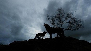 Saya meminimalisir penggunaan software atau aplikasi pengolah digital, saya berusaha mendapatkan foto sebaik mungkin agar meminimalkan olah digital, terang Helmy. (Foto: Fauzie Helmy)