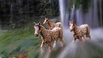 Pria itu adalah Fauzie Helmy. Dia cukup dikenal sebagai fotografer mainan atau yang dikenal dengan toys photography.  (Foto: Fauzie Helmy)