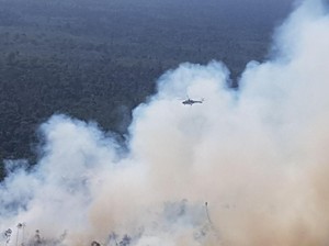 Sambut Kemarau, Kapolda Kalbar: Masyarakat Jangan Bakar Hutan