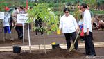Revitalisasi Sungai Citarum, Jokowi Tanam Pohon