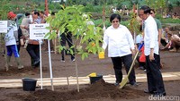 Tak sendiri, Jokowi terlihat didampingi oleh Menteri Lingkungan Hidup dan Kehutanan Siti Nurbaya.