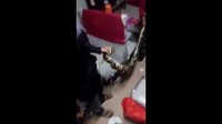 Pihak PT KAI menduga ular dilindungi milik salah satu penumpang kereta yang terlepas. Foto: Screenshot video viral ular di kereta