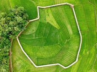 10 Wisata Sawah, Cocok untuk Ngabuburit